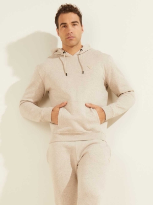 Brown Men's GUESS Eco Aldwin Hoodies | USA14FTMZO