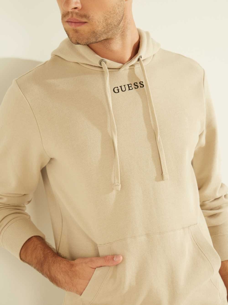 Titanium Men's GUESS Eco Roy Embroidered Logo Hoodies | USA57AWLIV