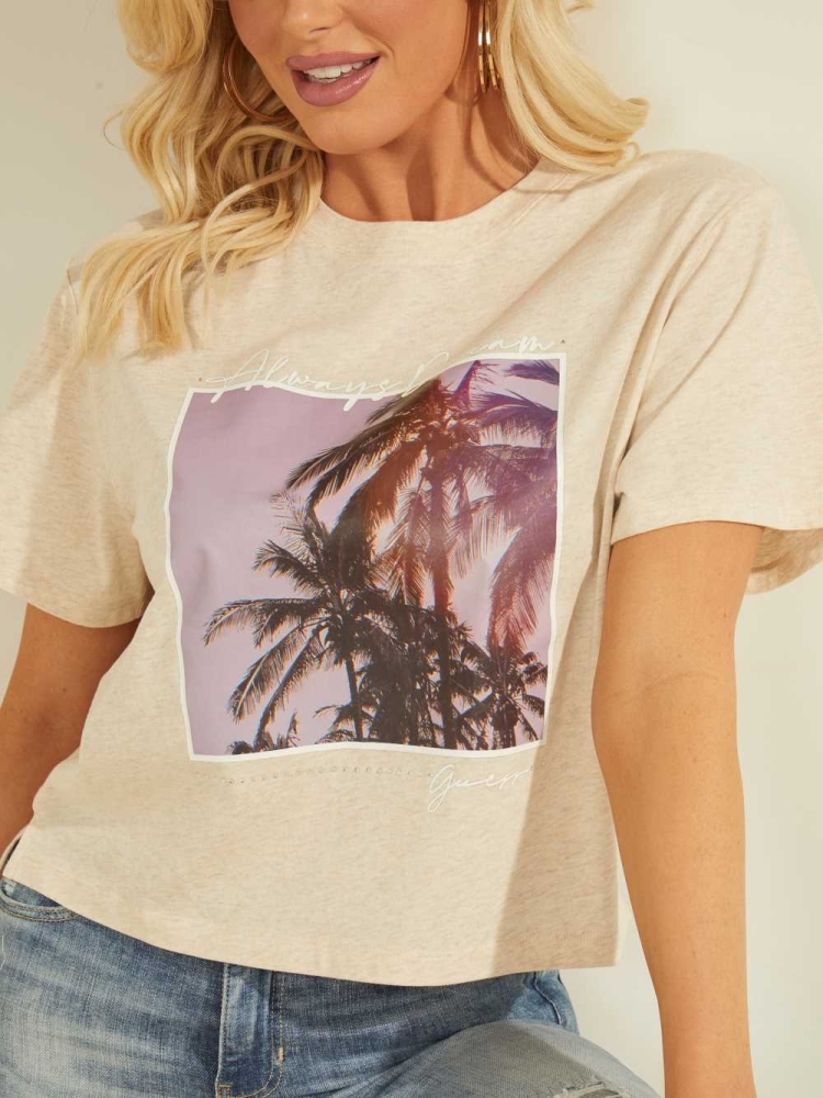 White Women's GUESS Corinne Palms T-Shirts | USA61SDGUX